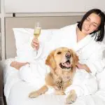 Dog-friendly hotel: Woman in robe with golden retriever on bed, holding champagne.